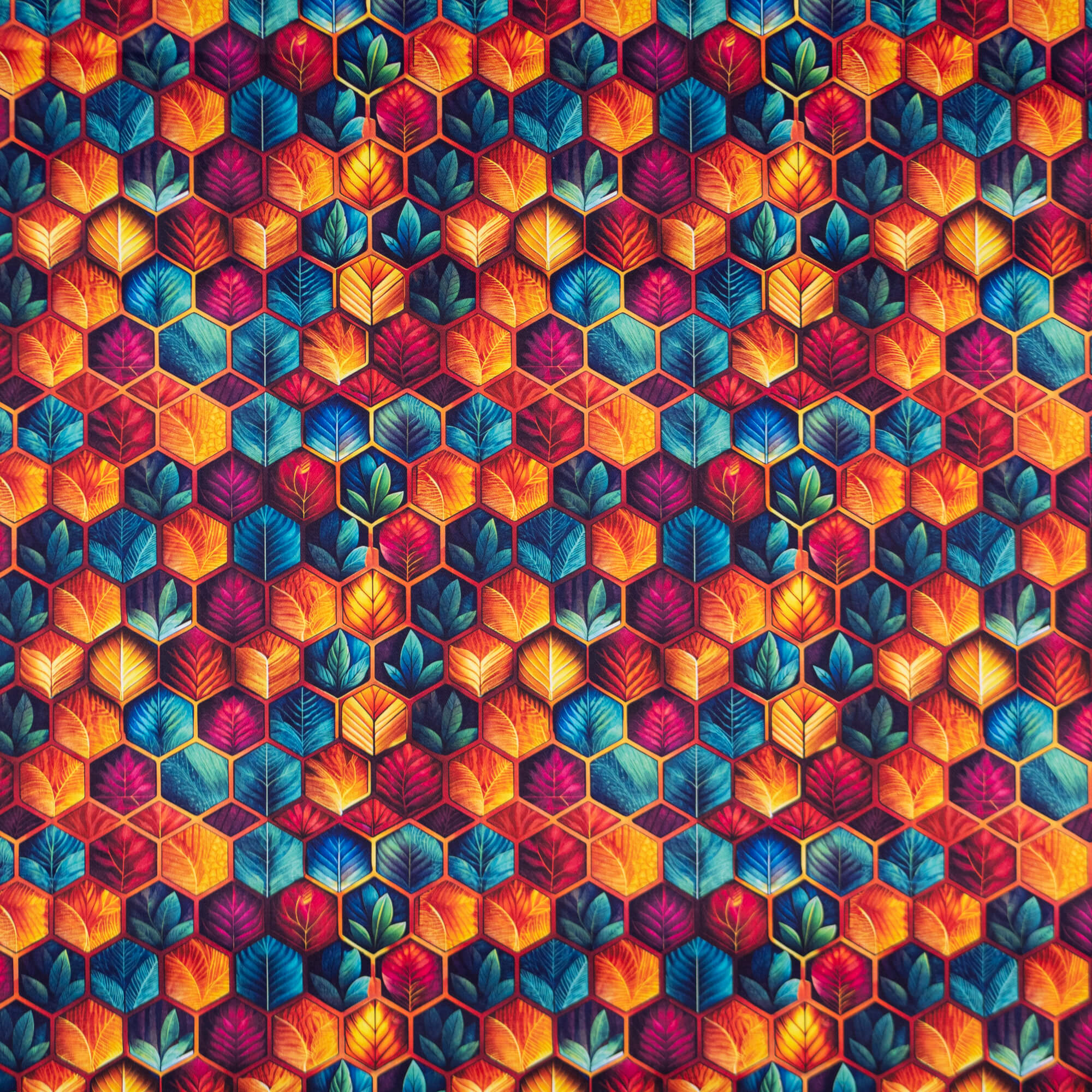 EP Rorange Hexagon